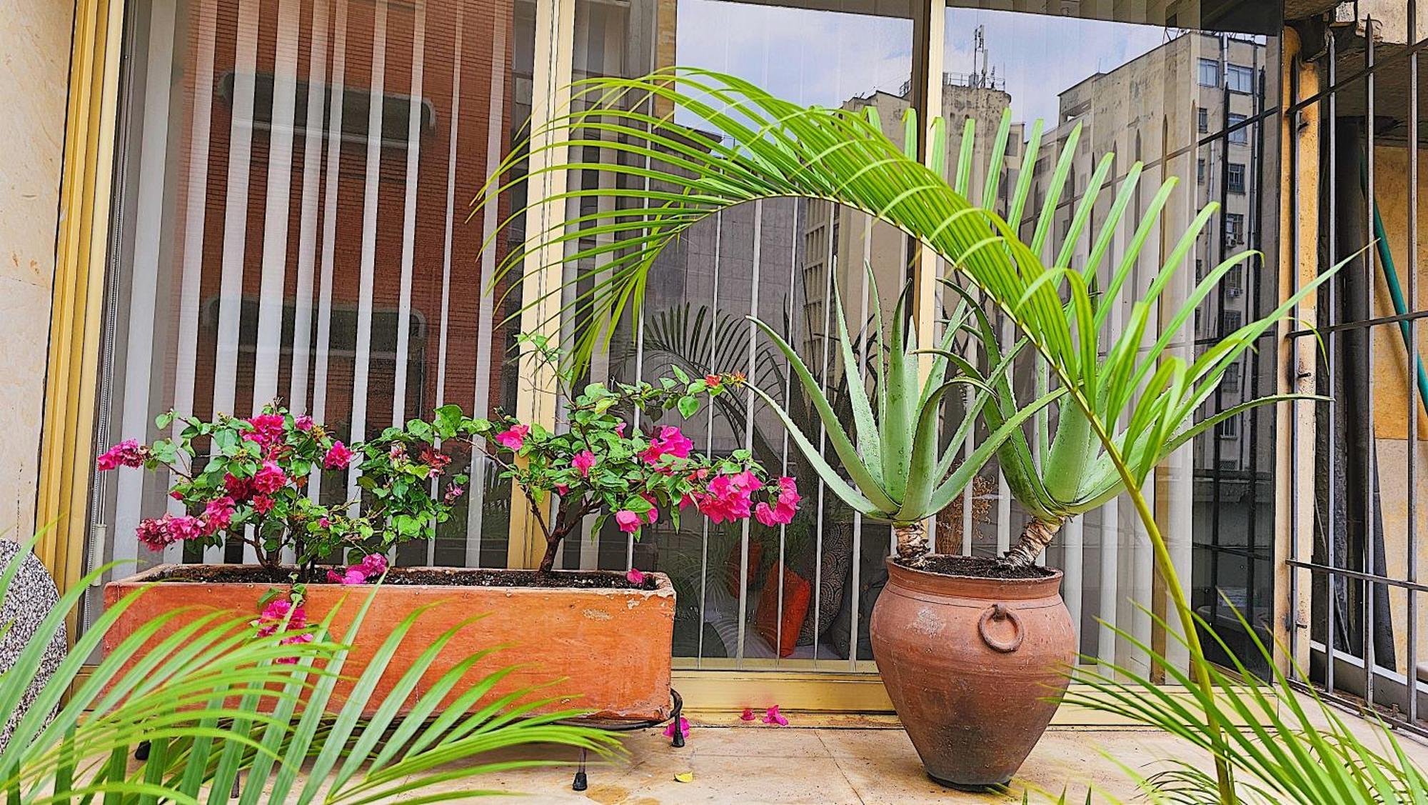 A Unos Pasos Del Bulevar Del Rio Con Terraza Apartment Cali
