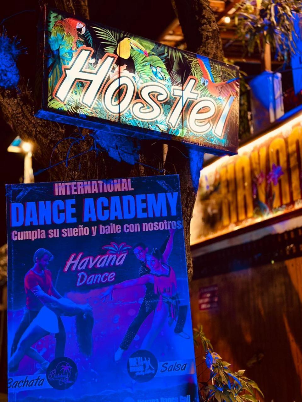 Havana & Dance School