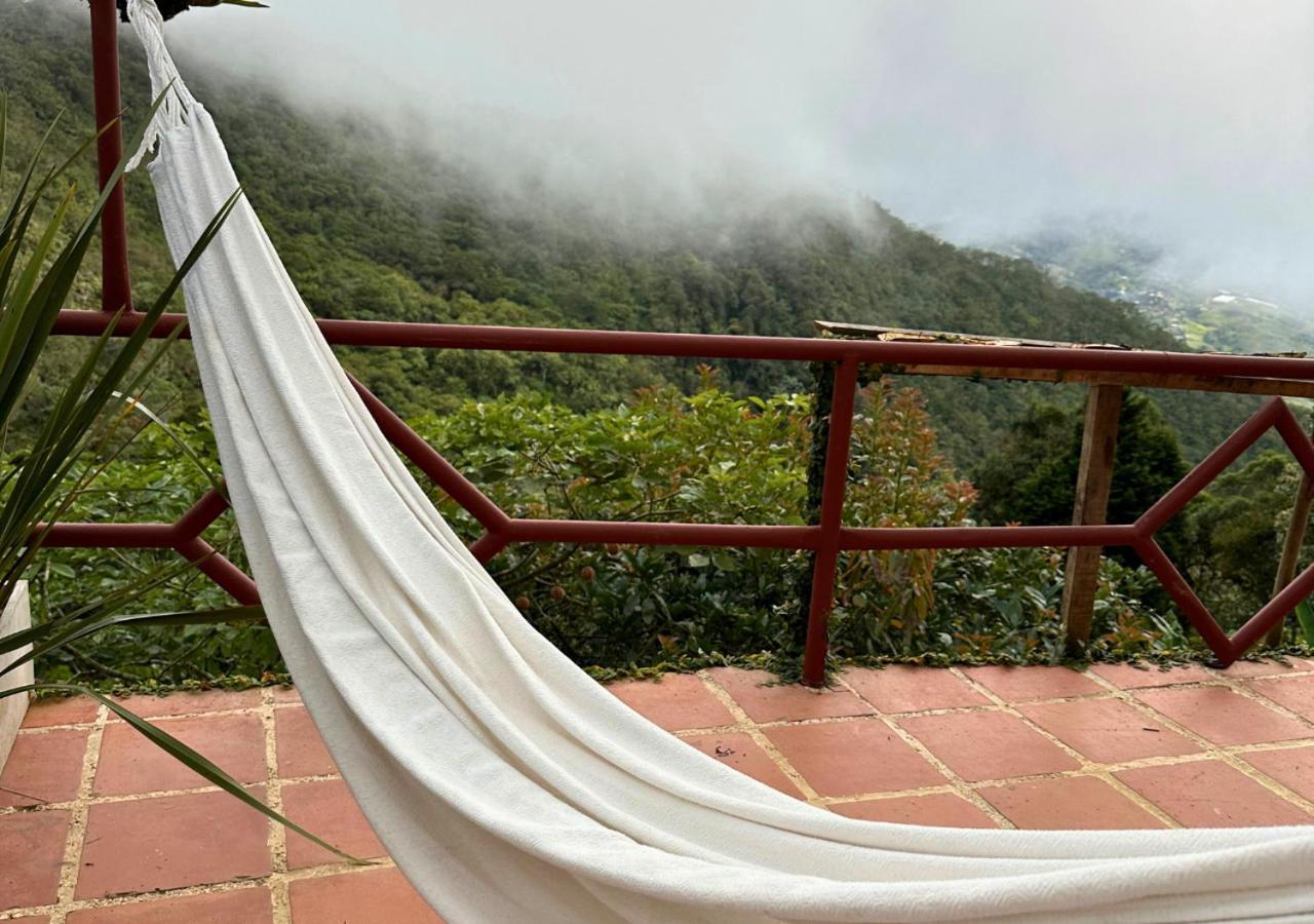 La Finca - Eco