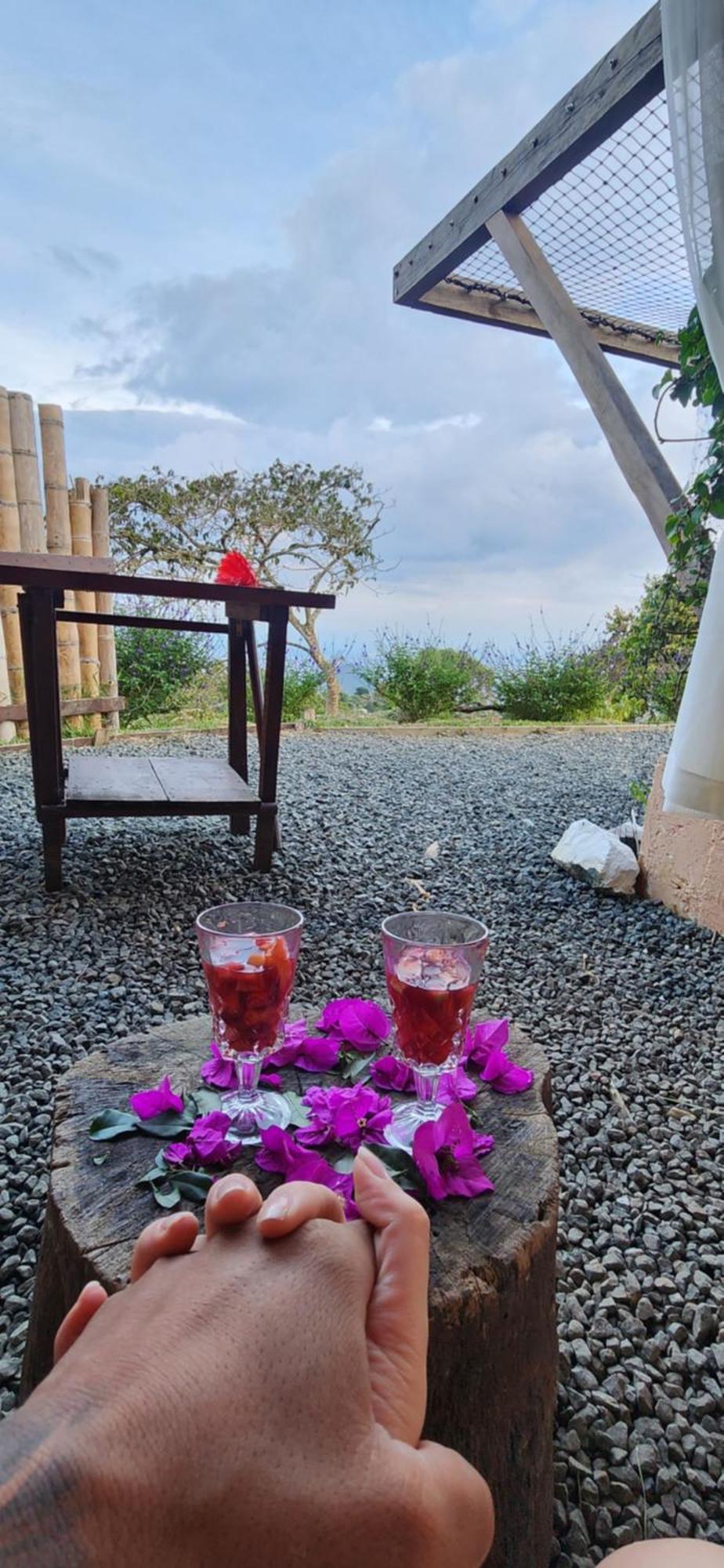 Campo de lujo Glamping La Pau