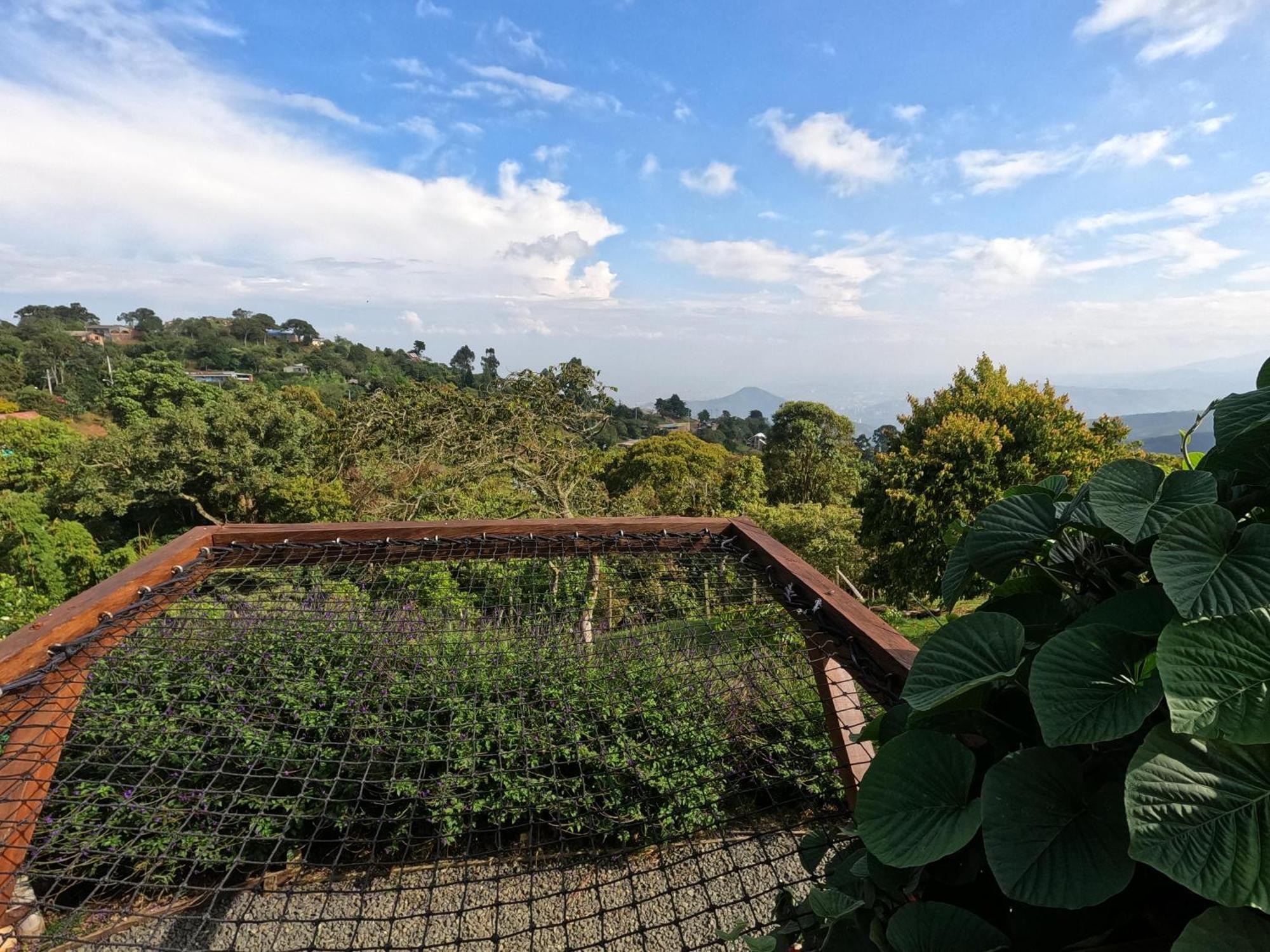 Glamping La Pau *