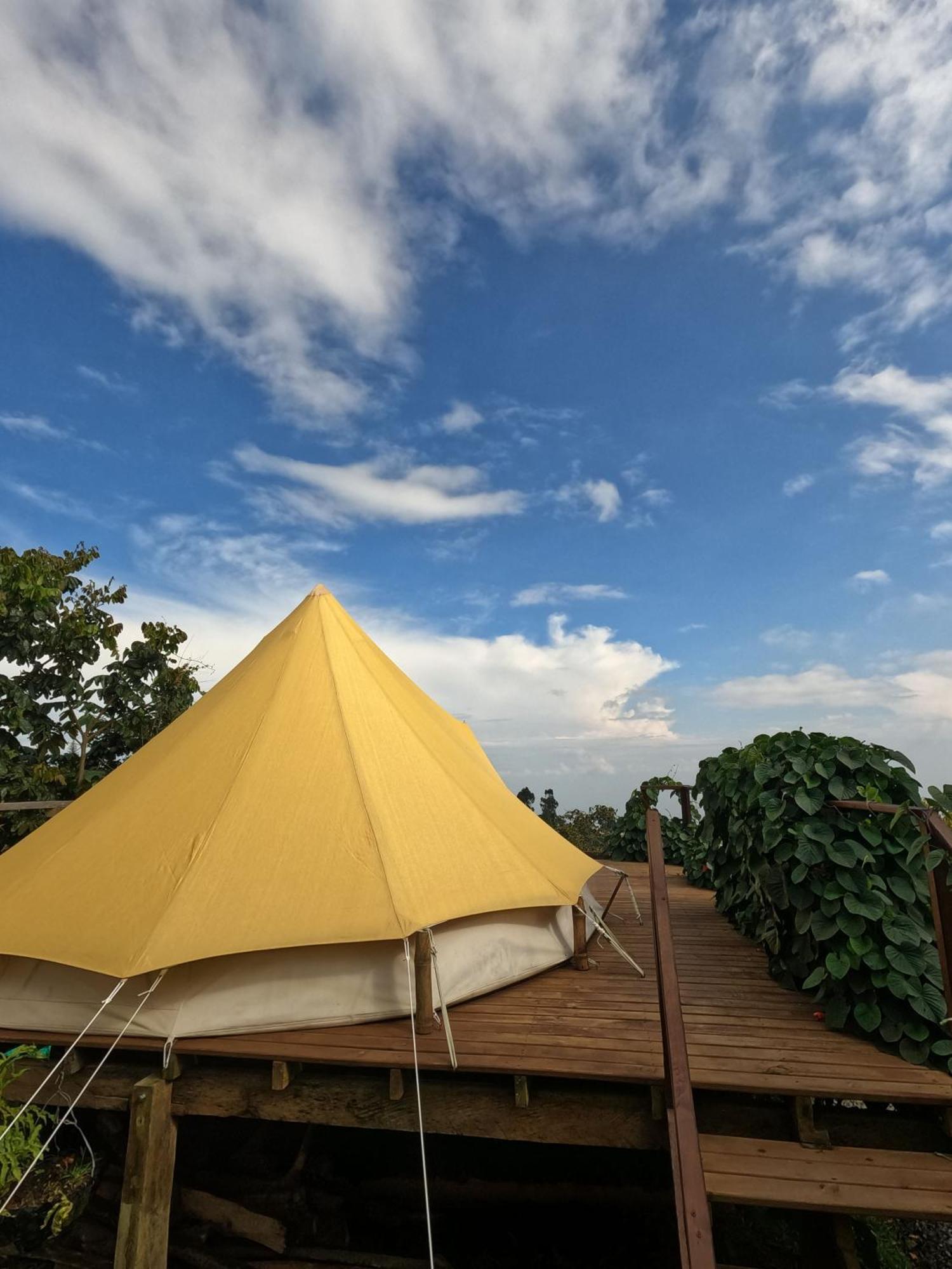 Campo de lujo Glamping La Pau Cali