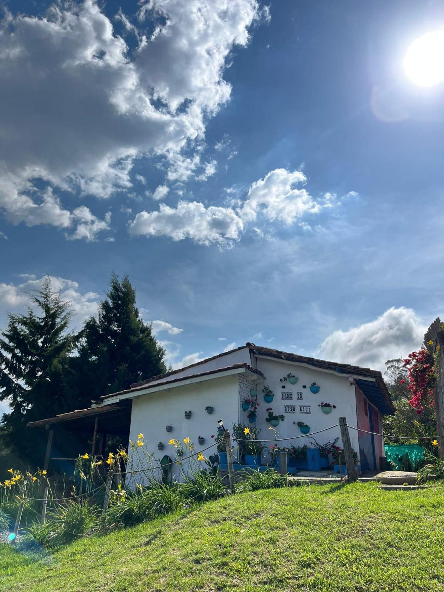 Campo de lujo Glamping La Pau