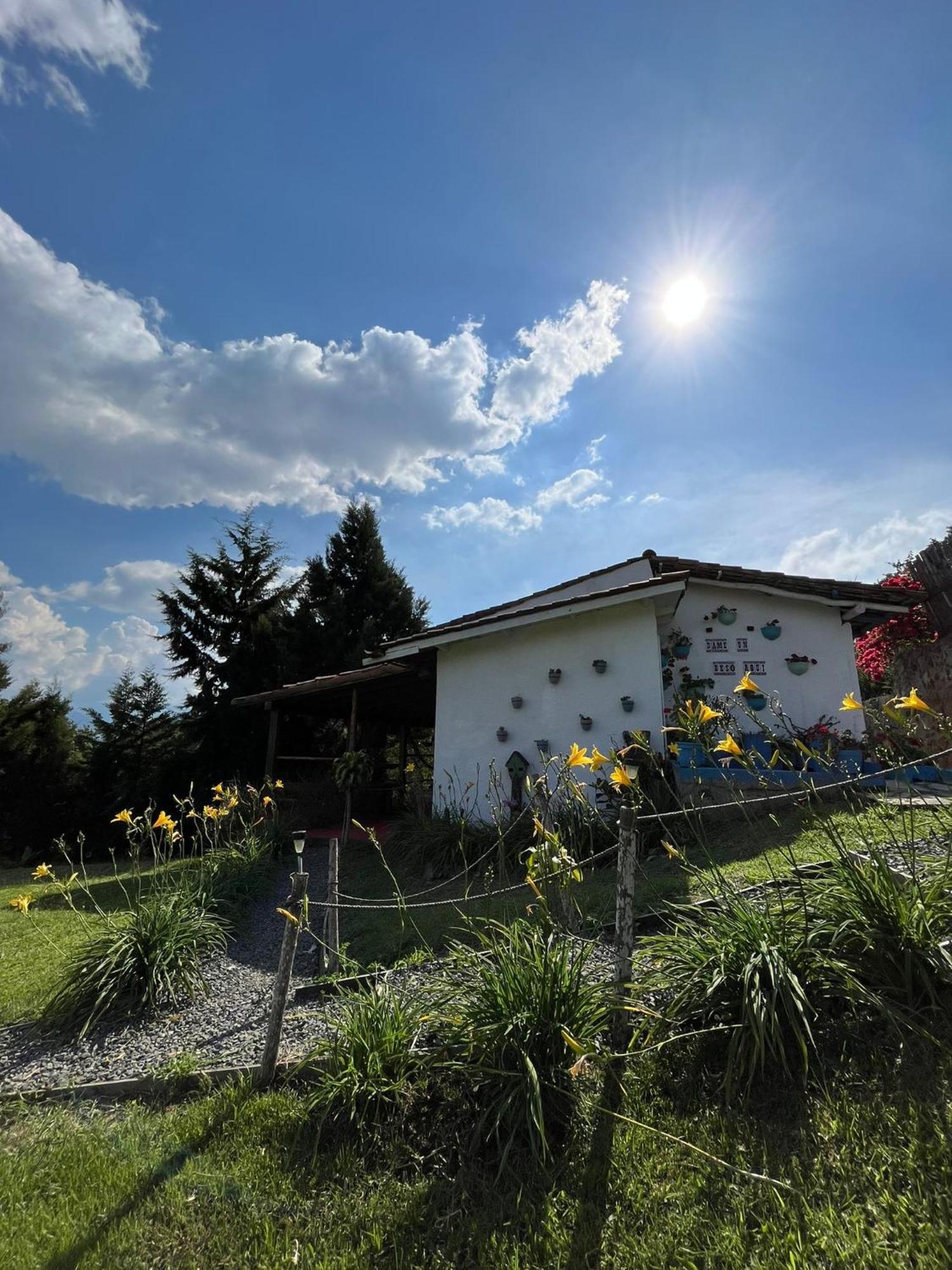 Glamping La Pau Cali
