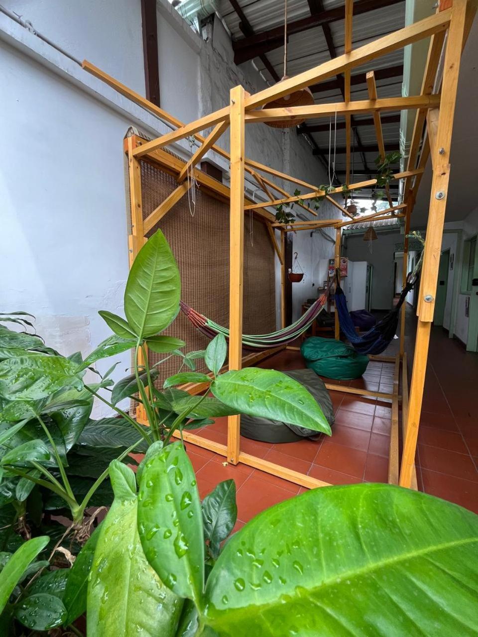 Sandalio Hostal Cali