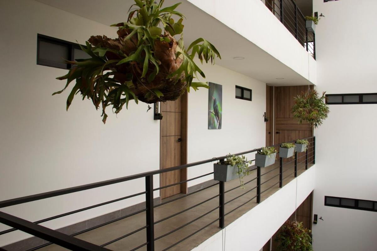 Apartamento Norte - Bosque Living -201