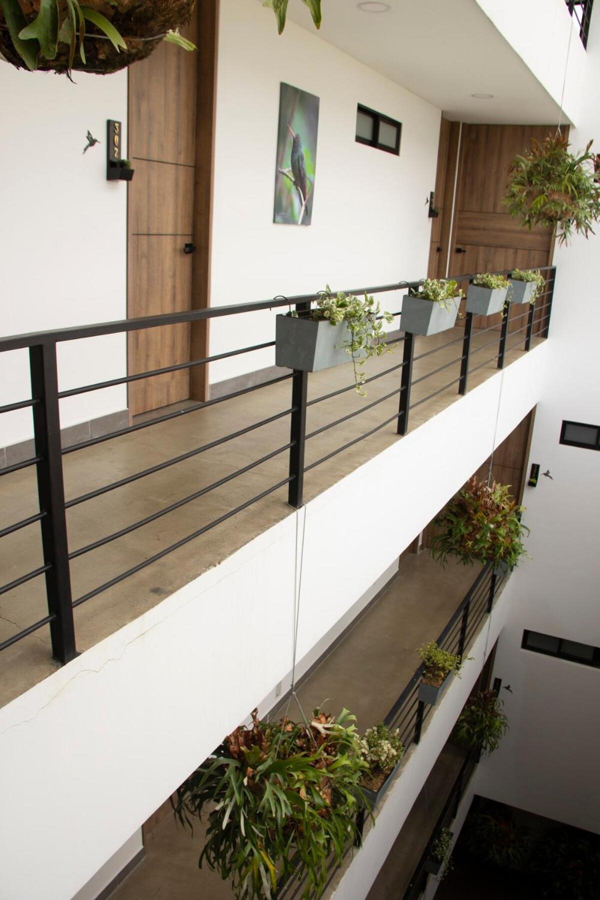 Norte - Bosque Living -201 *