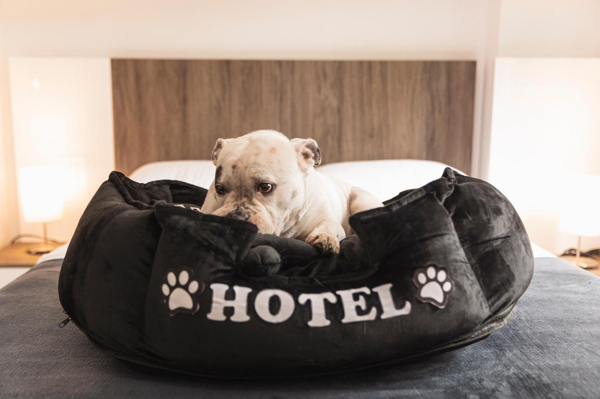 Boutique Bussines Center Apartahotel
