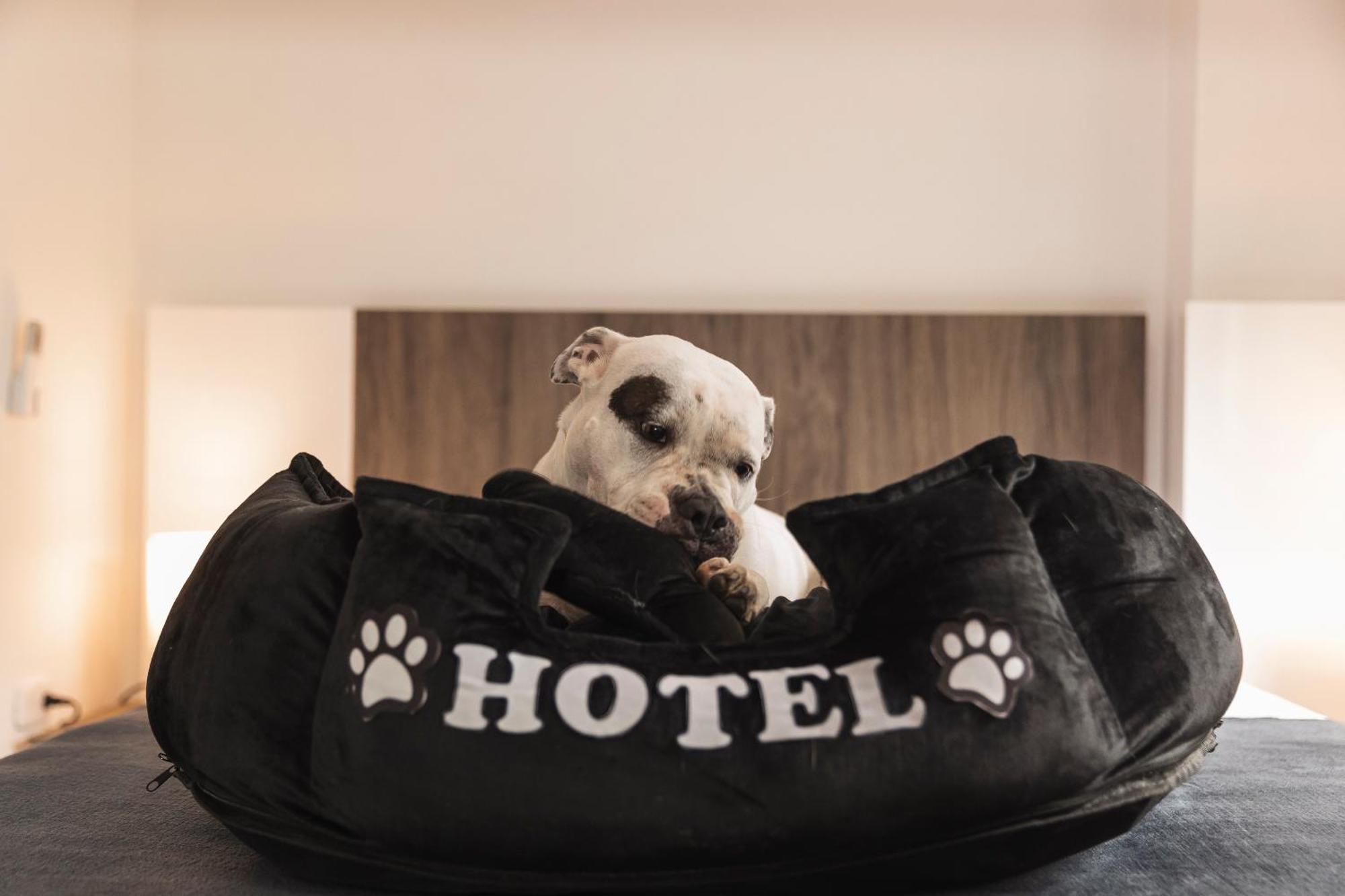 Apartahotel Boutique Bussines Center Cali
