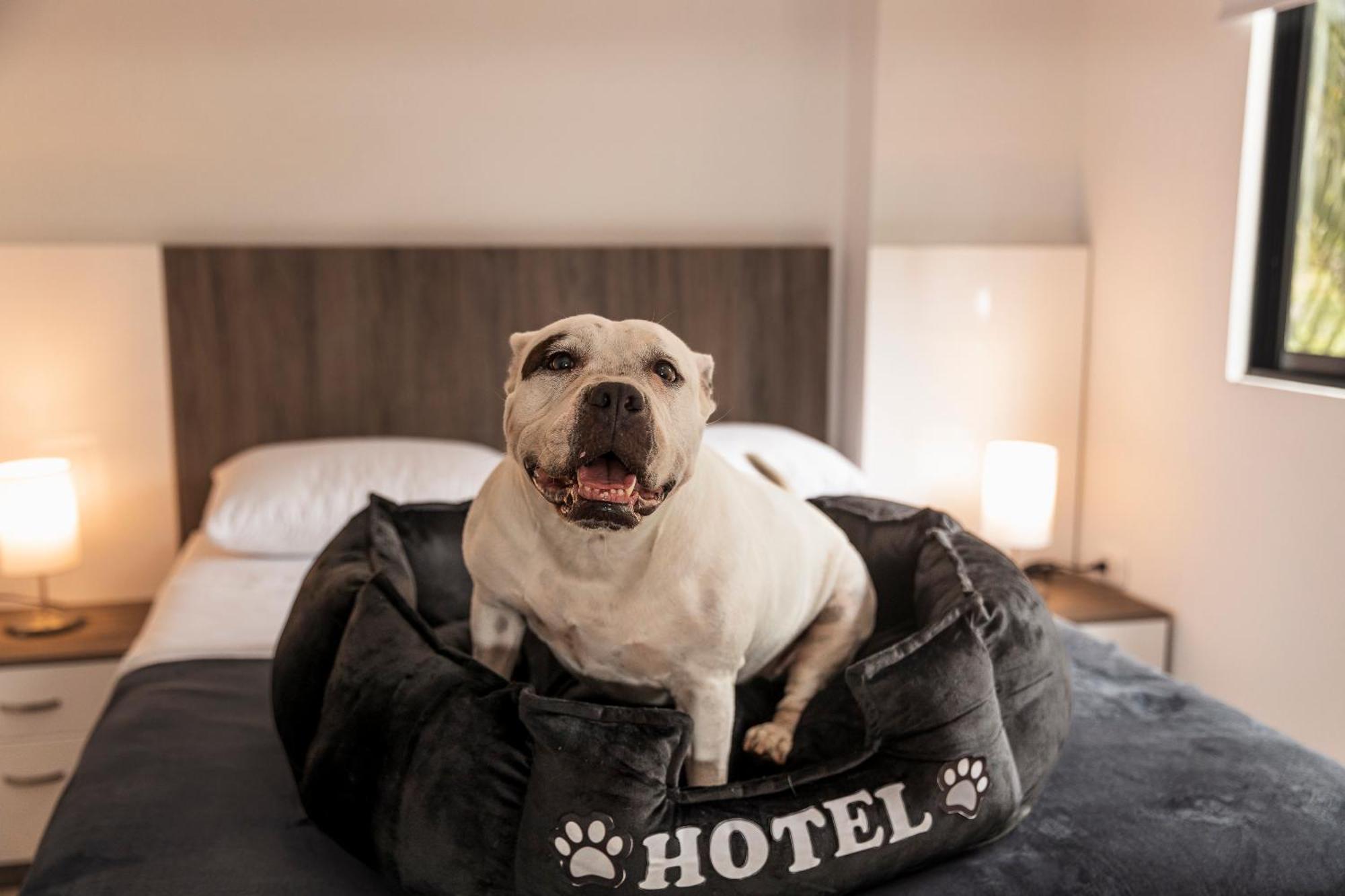 Apartahotel Boutique Bussines Center