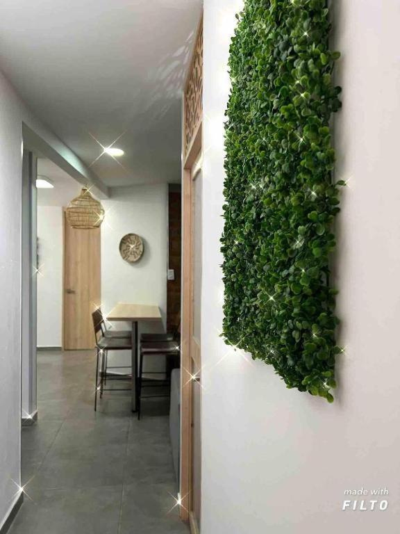 Apartment Area Medica Imbanaco
