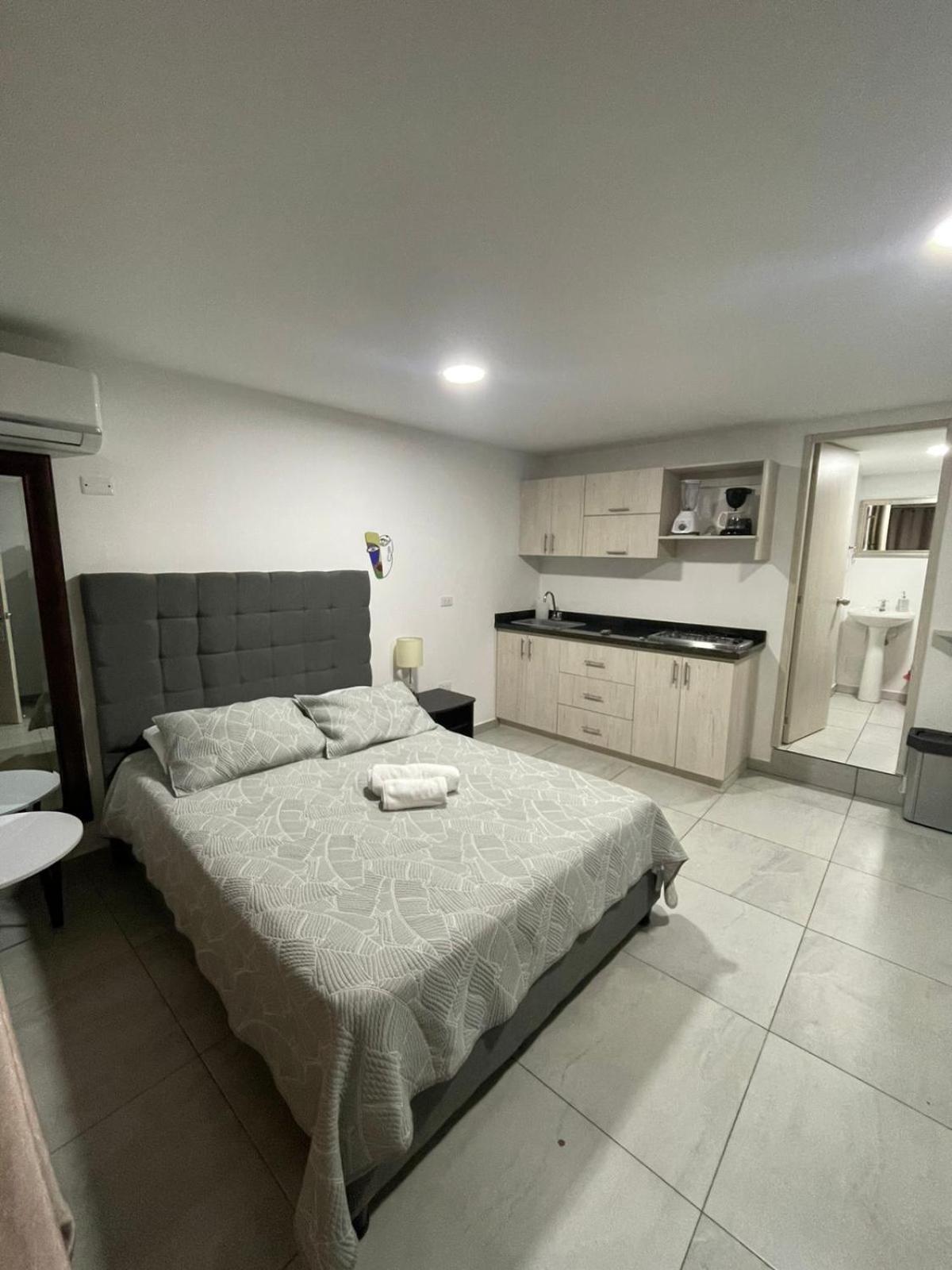 Ingenio Park 83 - Apartment