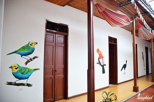 Hostal Kingbird *