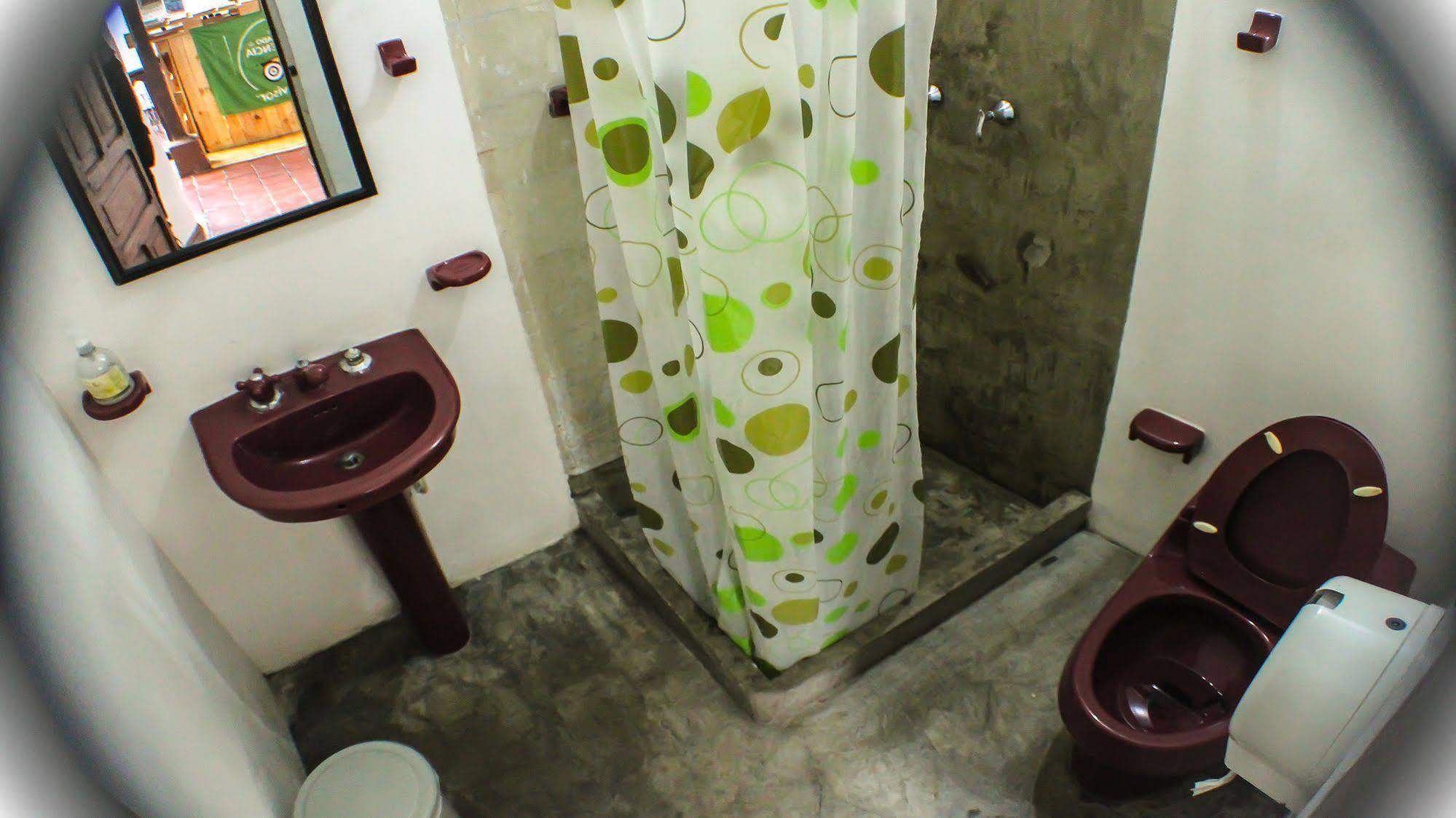Kingbird Hostal