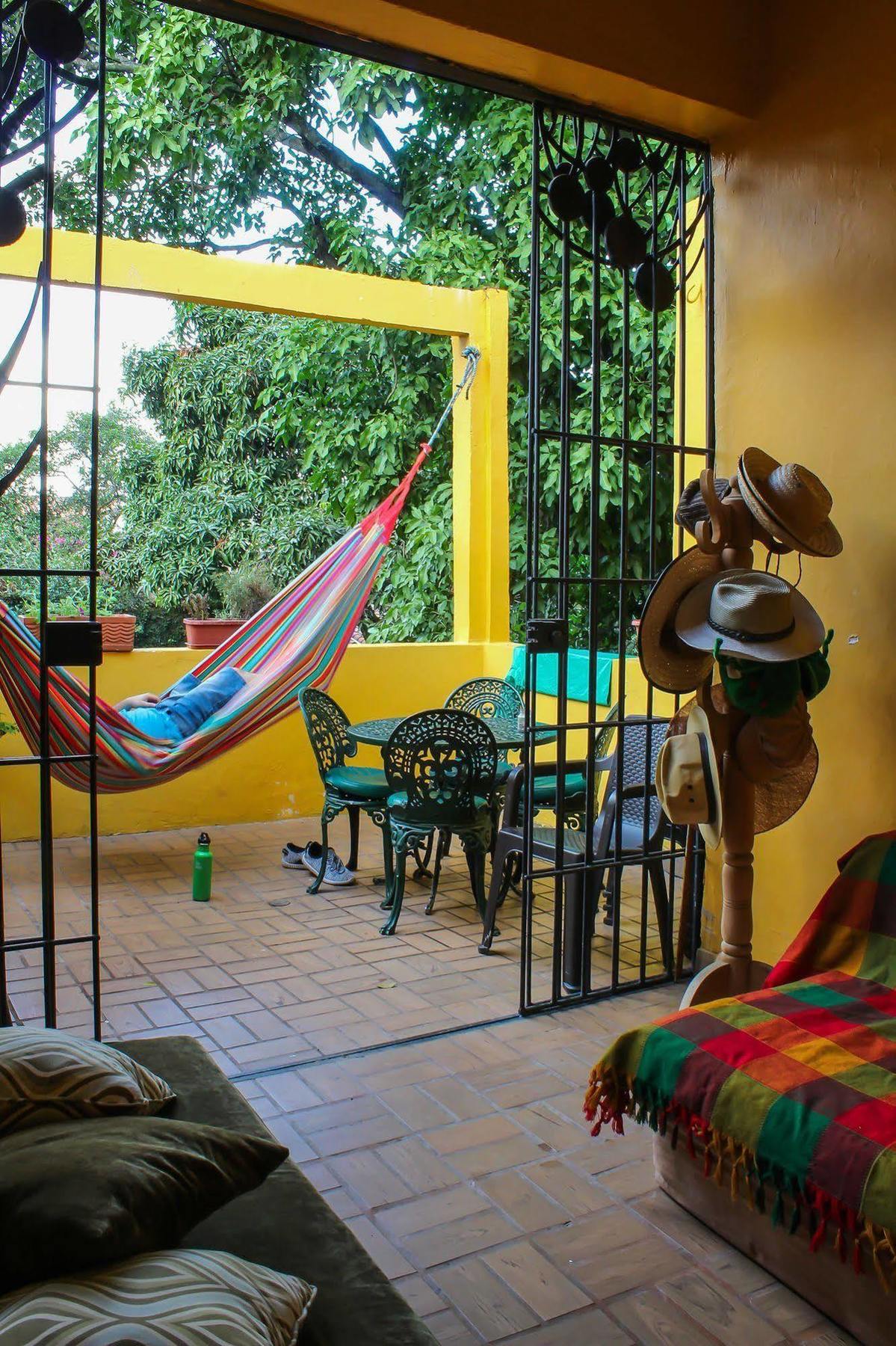 Hostal Kingbird *