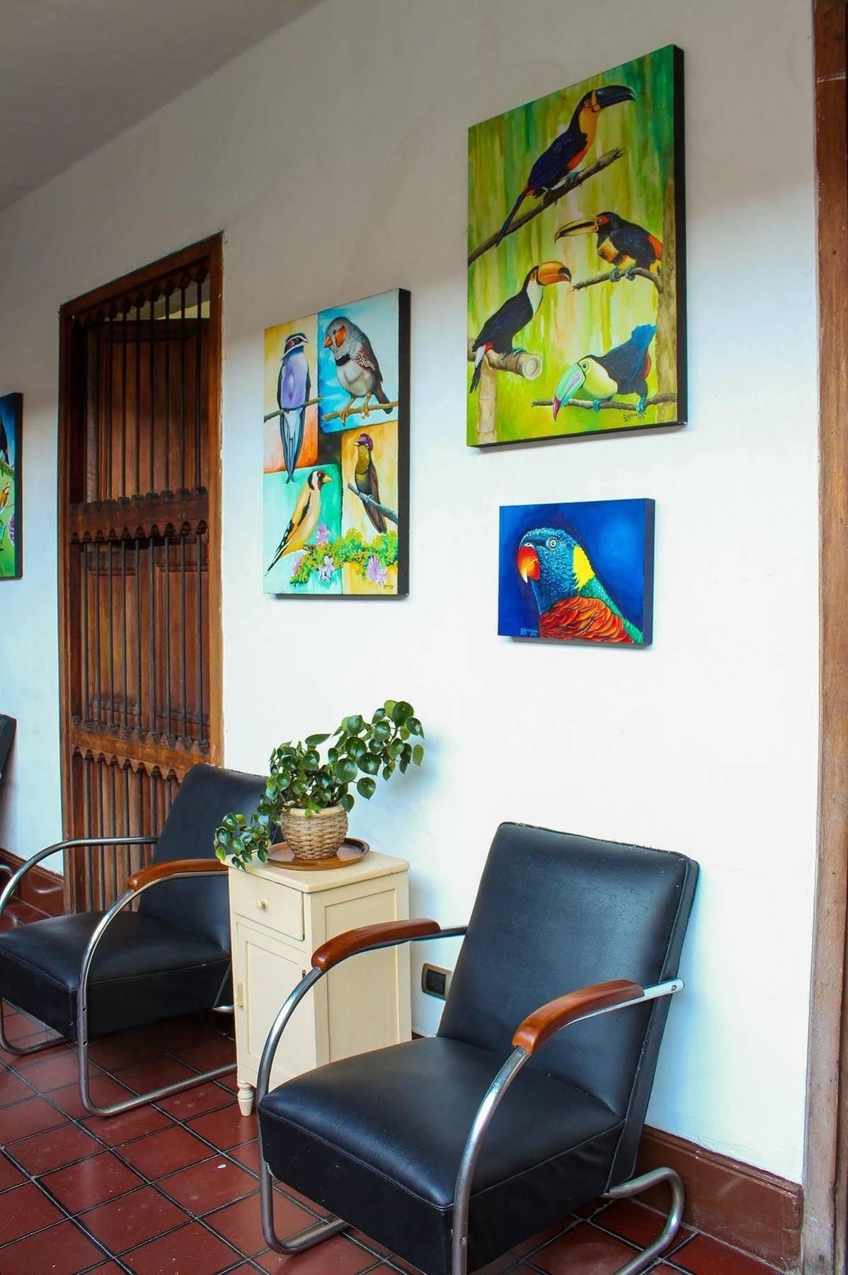 Hostal Kingbird Cali