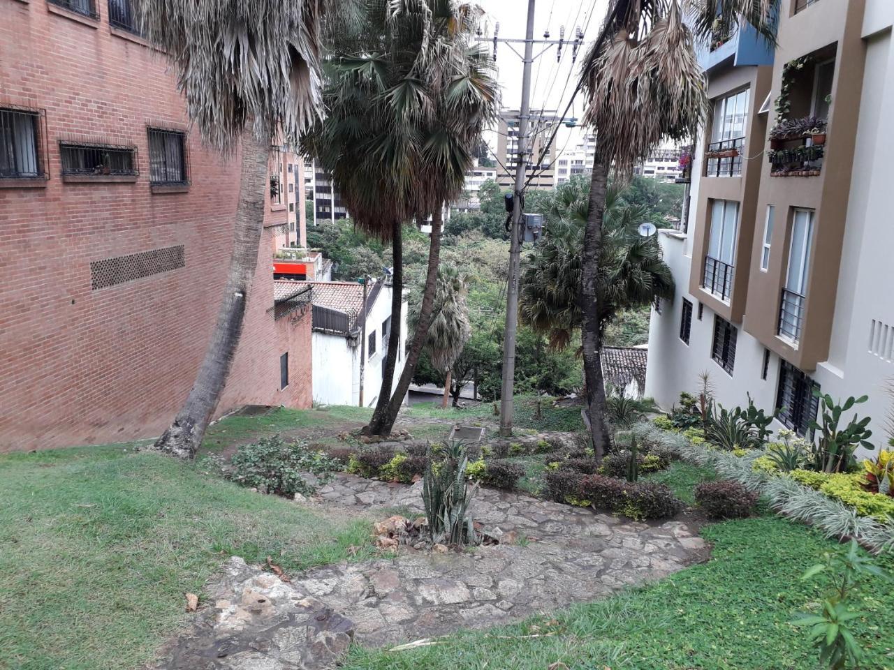 Coworking Cristales 3*