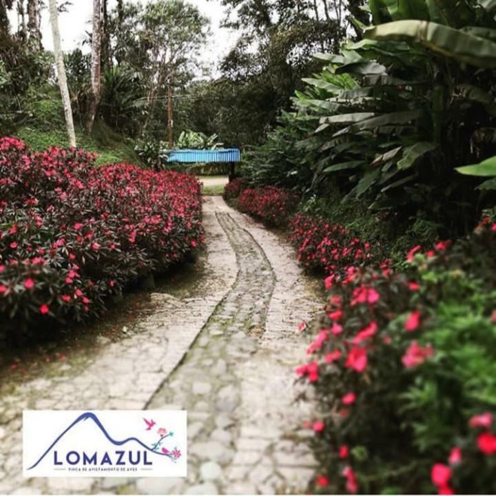 Hotel Lomazul Ecolodge Cali