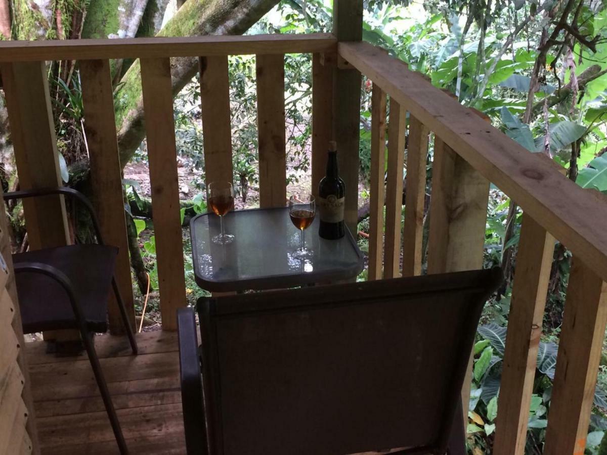 Bed and breakfast El Nilo Pance *