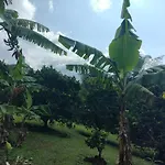 Finca Villa Hailey