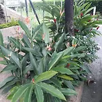 Jardin Del Lago