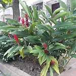 Jardin Del Lago