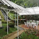 Bosque De Niebla Birding & Nature