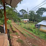 El Rincon De Blanquita