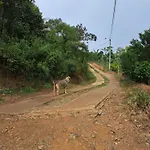 El Rincon De Blanquita