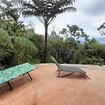 Luna Nueva Eco