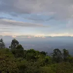 Luna Nueva Eco