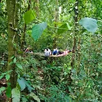 Bosque Colibri
