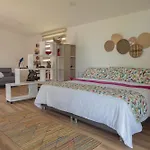 San Felipe Lodge. Birding And Wellness