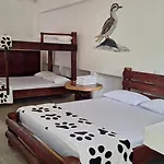 Ecohotel El Castillo Village