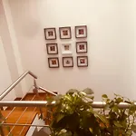 Nexoo Living