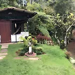 Finca Via A Felidia -Corregimiento De La Leonera Vereda El Porvenir, El Eden