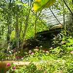 Bosque Colibri