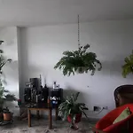 Dulce Sueño