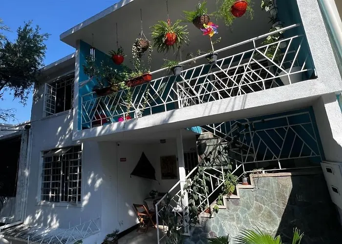 Casa Mandragora