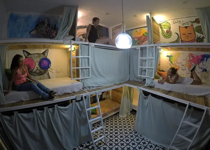 Hostal Zanahoria