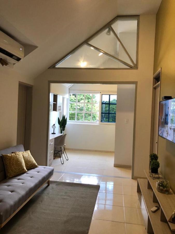 Apartamento Dl