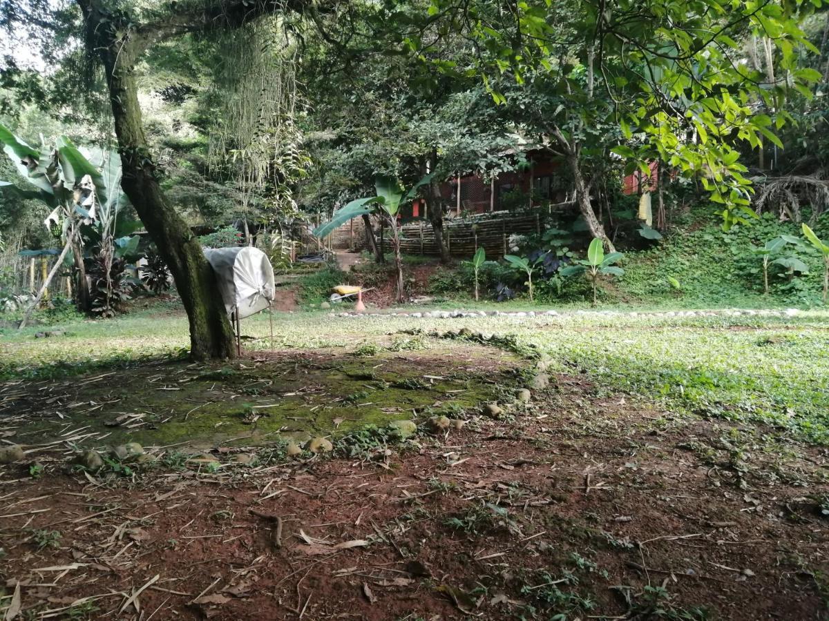 Carboneros Finca Agroecológica *
