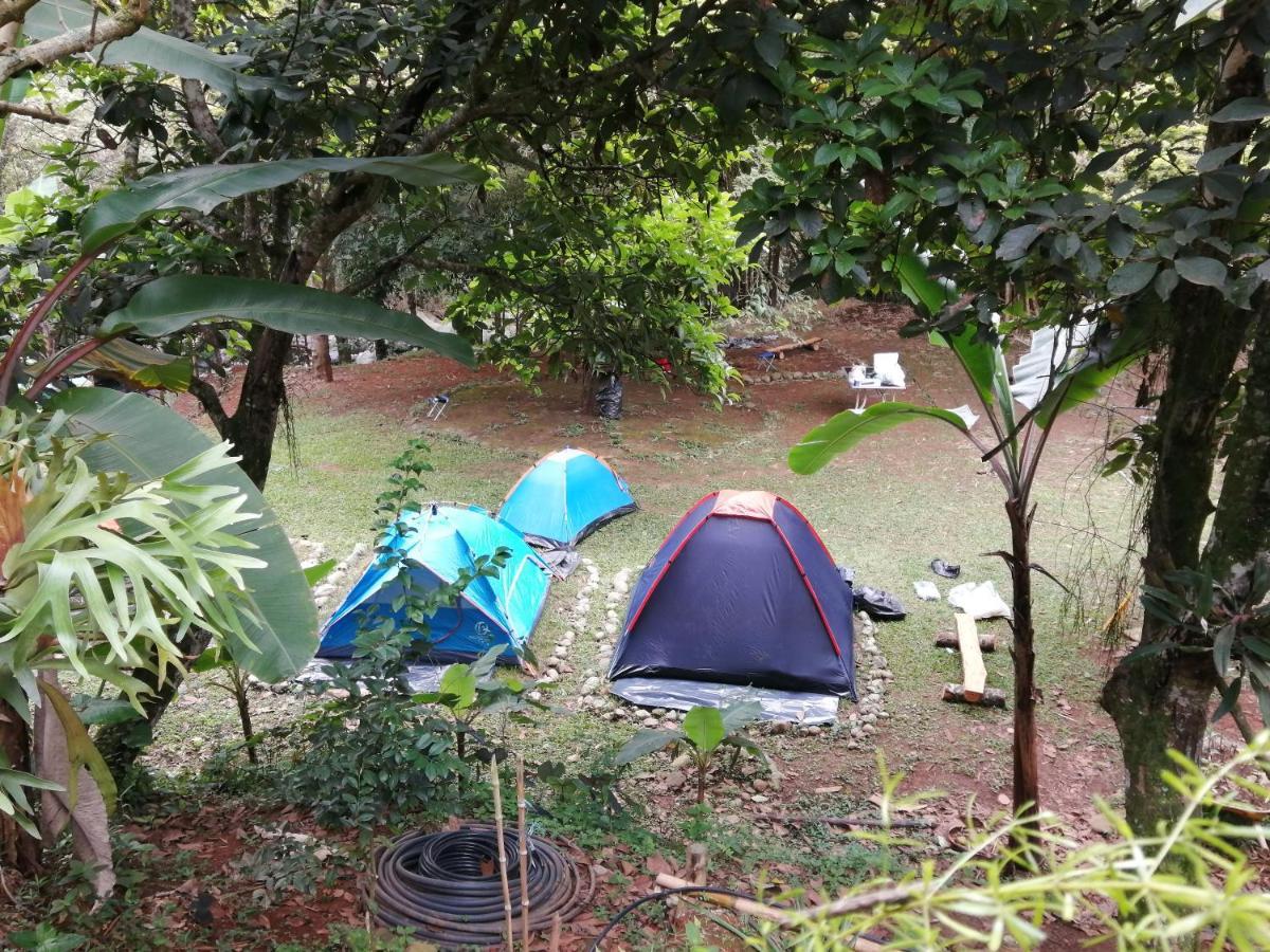 Carboneros Finca Agroecológica Camping