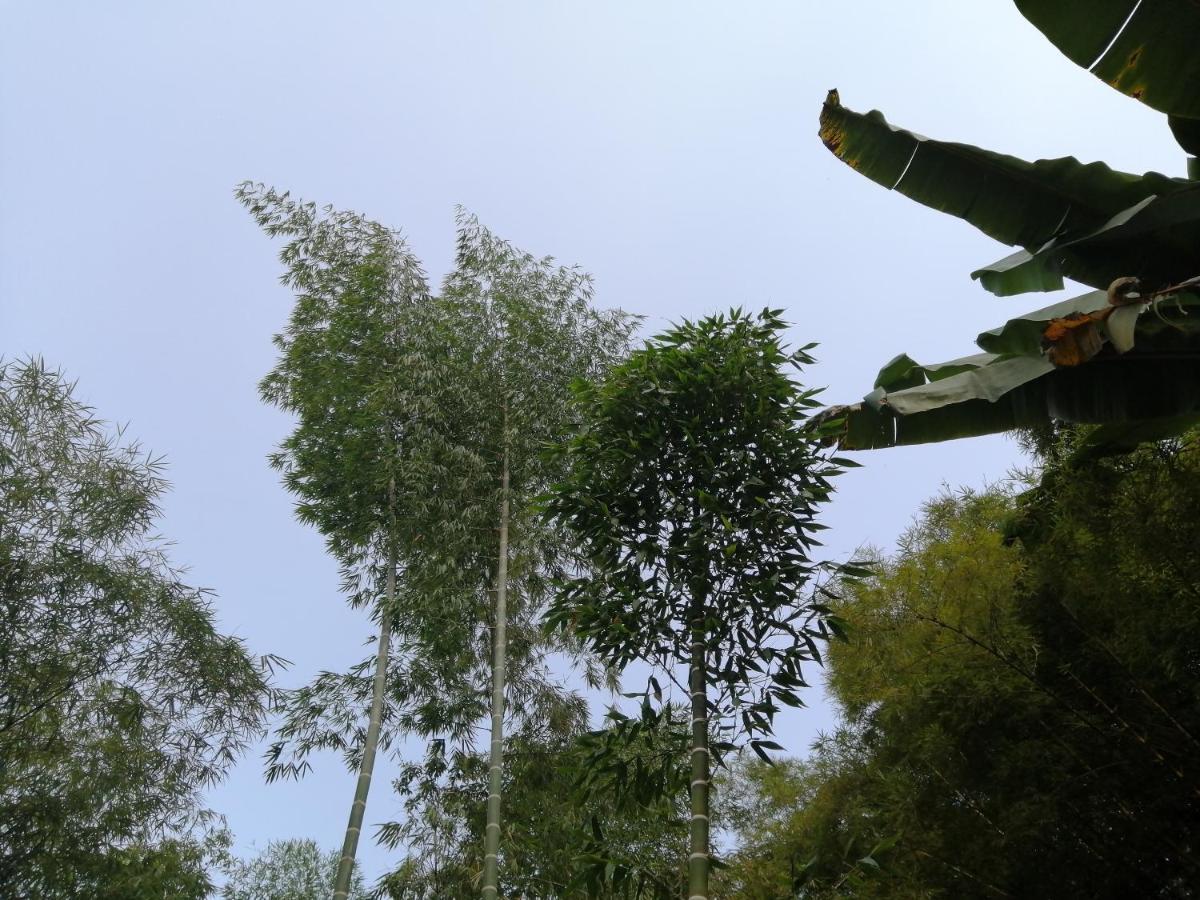 Camping Carboneros Finca Agroecológica Cali