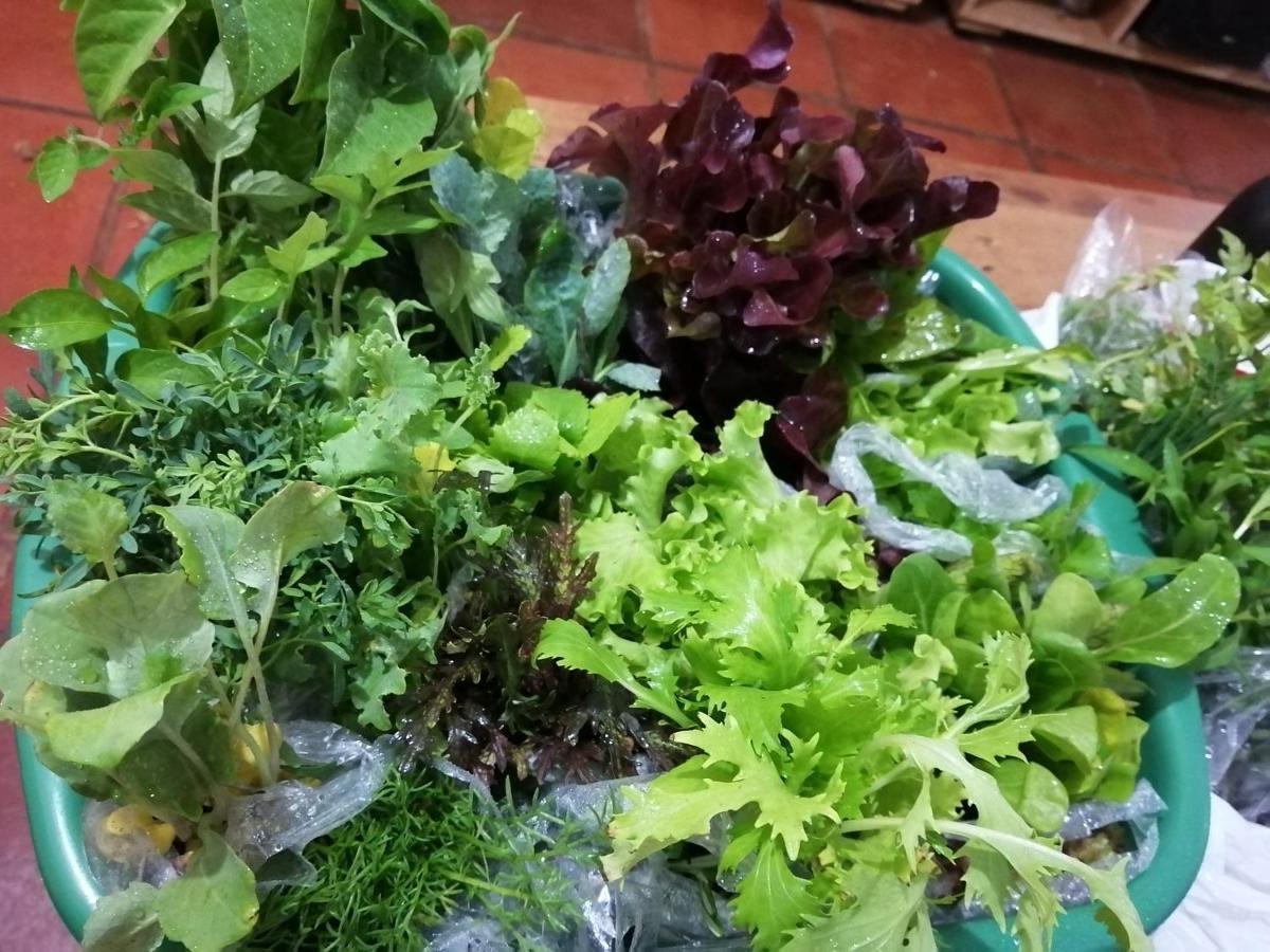 Carboneros Finca Agroecológica