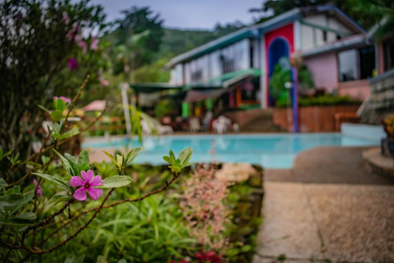 Hotel Del águila
