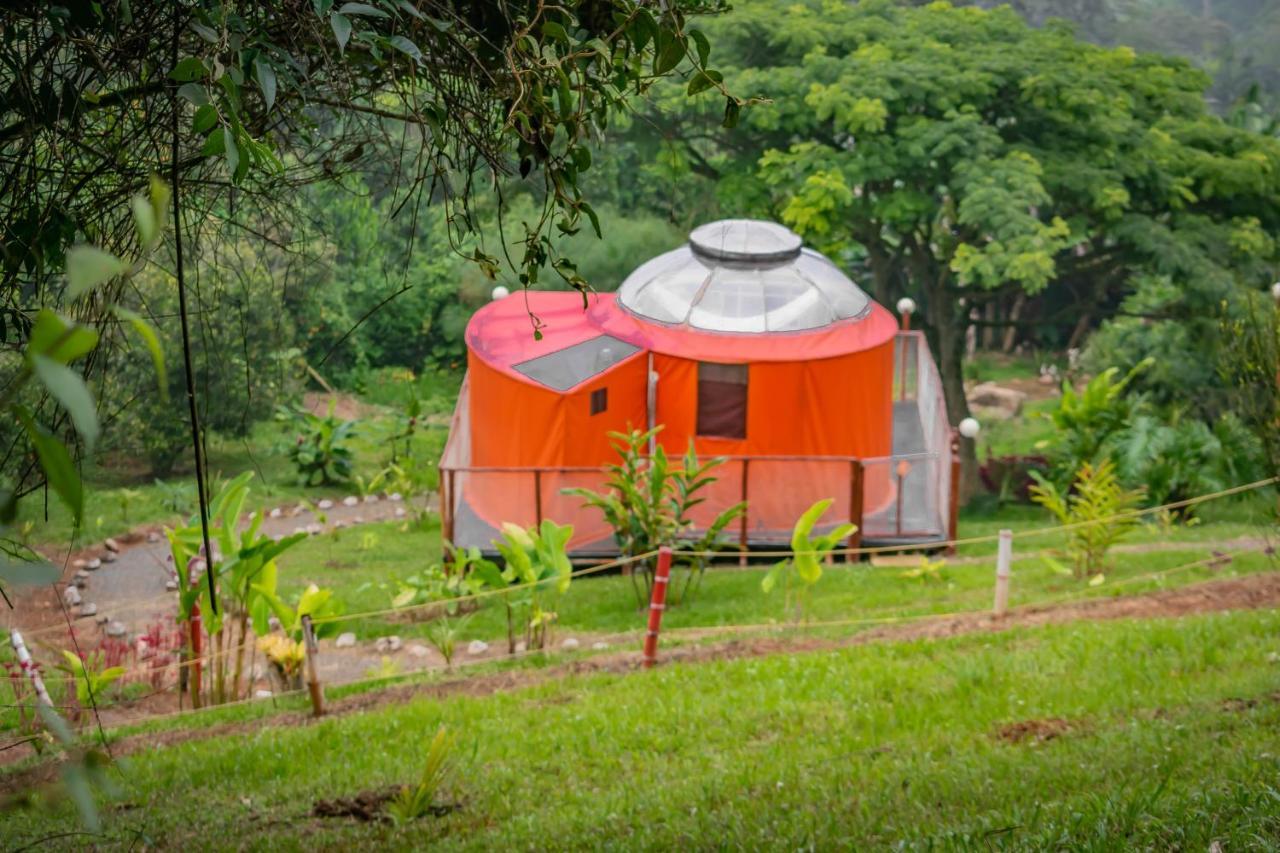 Hotel Del águila Cali