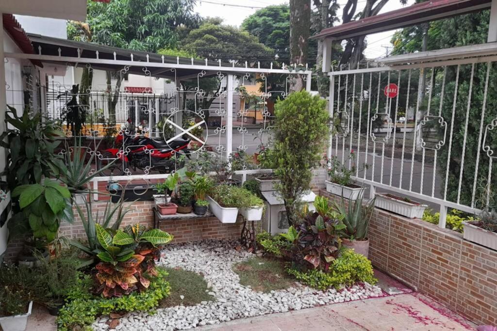 Excelente En Un Bosque Dentro De Cali.. Cali