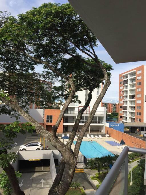 Brand New In The New South Of Apartamento Cali