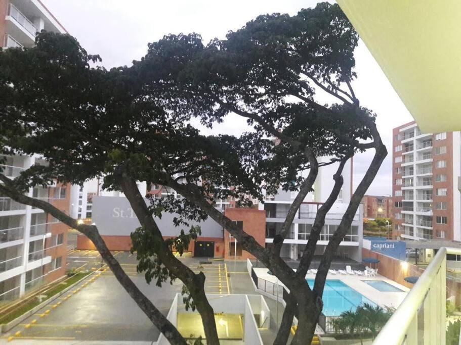 Apartamento Brand New In The New South Of *